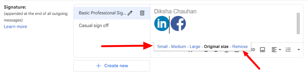 LinkedIn and Facebook signature icons with image-size controls.