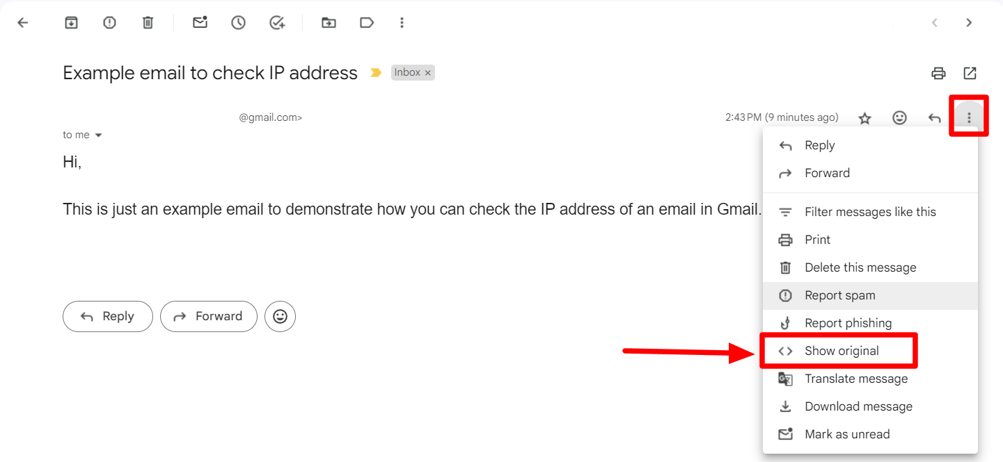 Gmail message menu with Show original highlighted