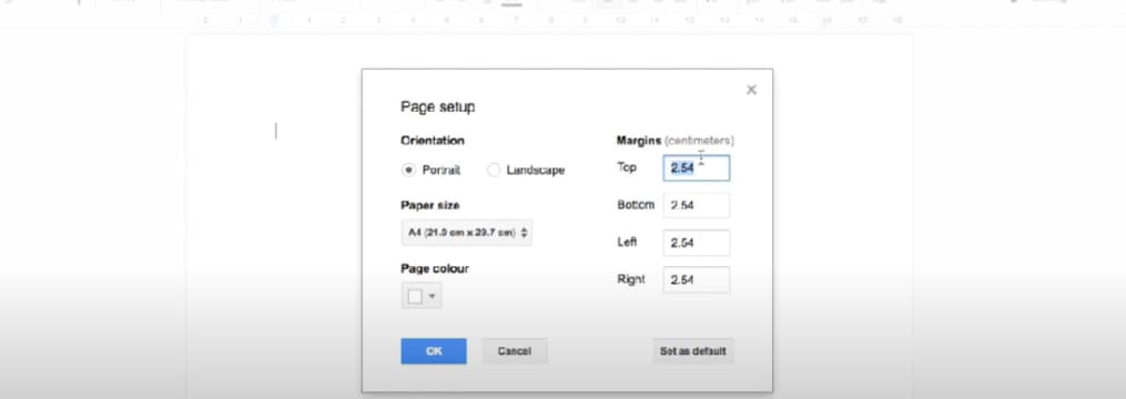 Google Docs Page setup dialog with page orientation, paper size and margins.